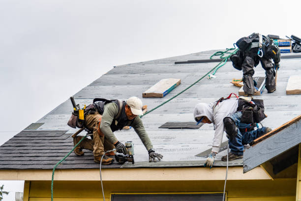Professional Gutter Installation technician working in Lula, GA